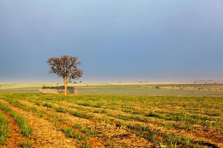 African farmland suffering from drought due to climate change