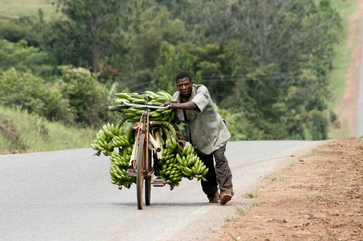 Smallholder farmer using traditional farming tools in rural Africa