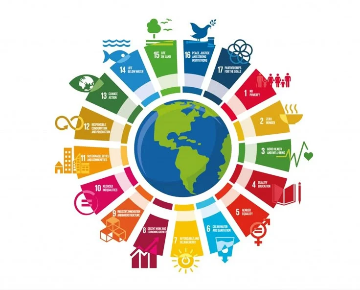 SDG-aligned evaluation framework visual showing the 17 Sustainable Development Goals used in social research and M&E