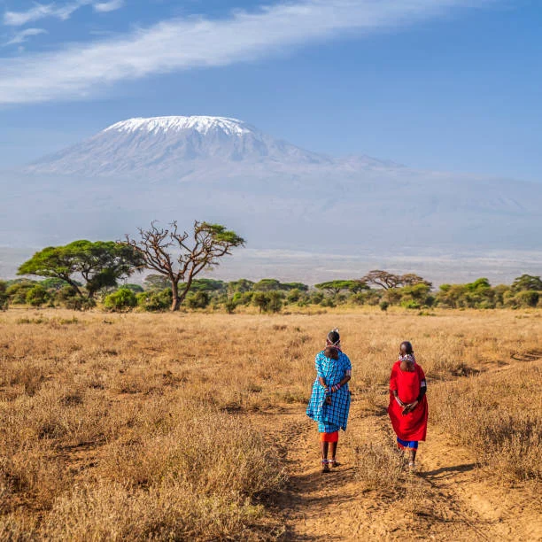 Rural access challenges affecting vaccination uptake in Africa