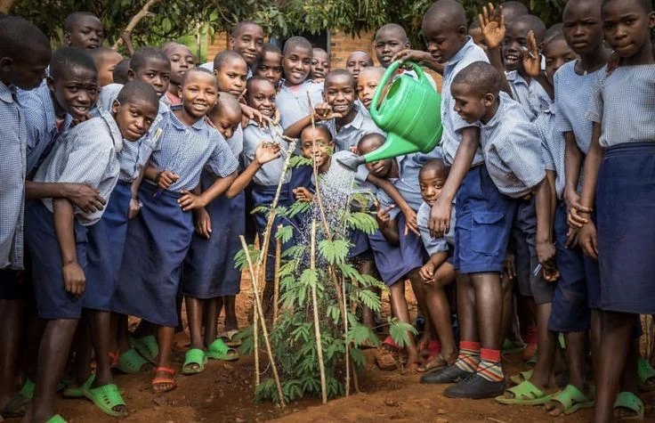 Youth leading environmental conservation programs to strengthen stewardship values